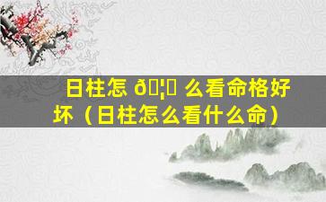 日柱怎 🦟 么看命格好坏（日柱怎么看什么命）